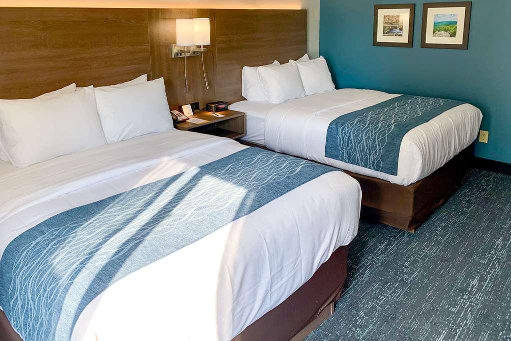 Comfort Inn & Suites Troutville - Roanoke North - Daleville Bilik gambar