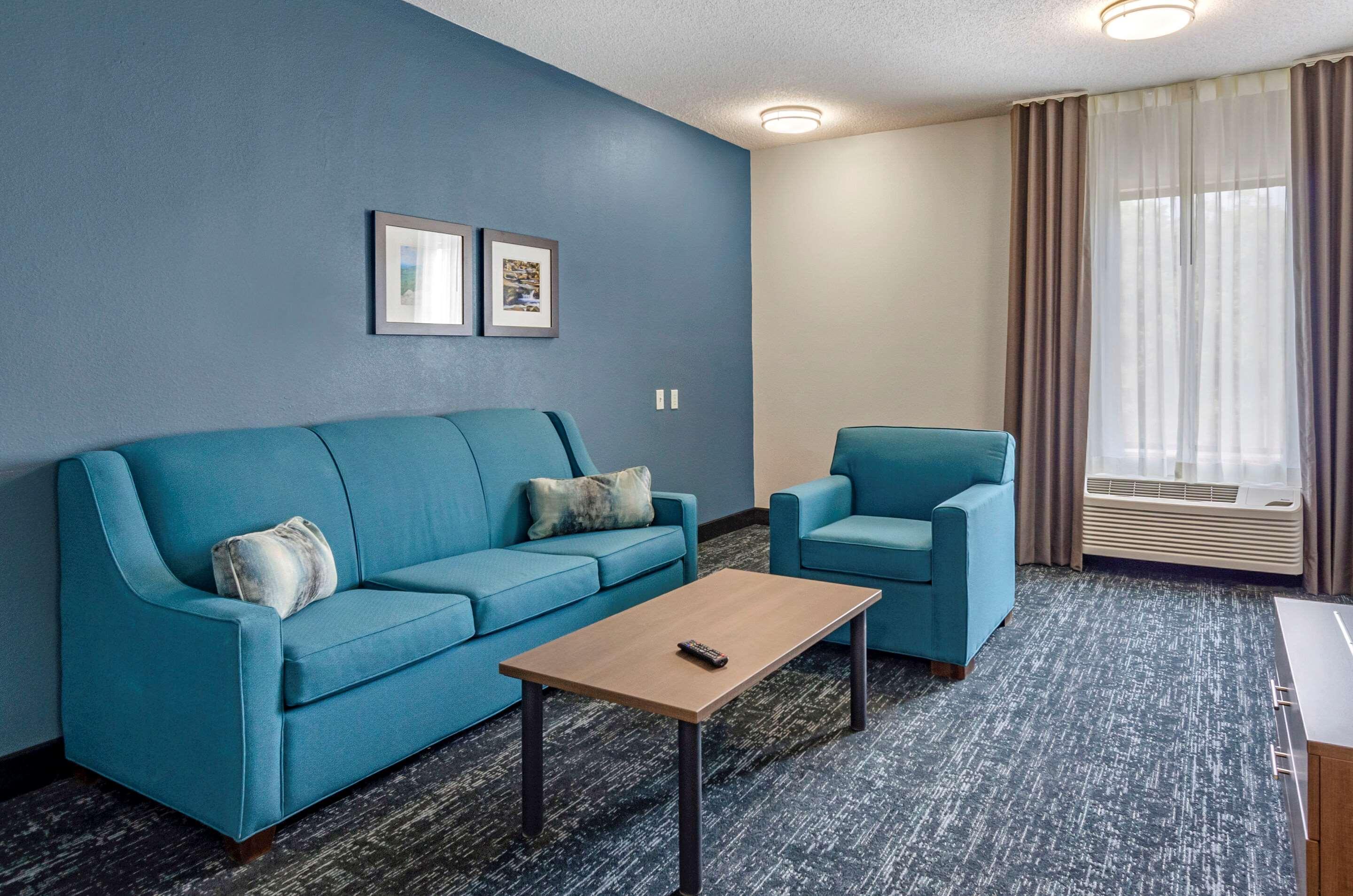 Comfort Inn & Suites Troutville - Roanoke North - Daleville Luaran gambar